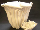 Bone China Folded Forms - Private Collection