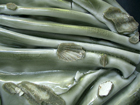 Detail Photo Showing Fluidity of Glaze & Cockle Shells